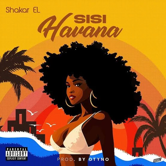 Sisi Havana